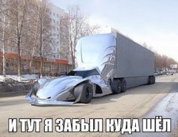 Прикольные картинки. Вечерний выпуск