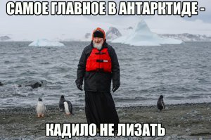 Смешные фото для поднятия настроения