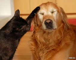 И жили они долго и счастливо!