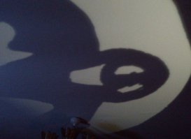 22 проблемы, известные каждому, у кого есть кошка