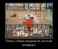 Обращение к владельцам домашних животных!