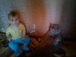 22 проблемы, известные каждому, у кого есть кошка