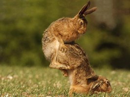 Тоже, так сказать, поймал...