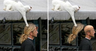 а вот это фотошоп))))))