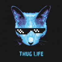 Эта кошка носит темные очки по особенной причине