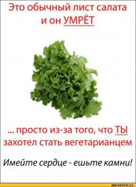 Злобной бомбежки пост или рожающие дома мамы-веганы 2