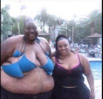 Прикольные картинки. Вечерний выпуск