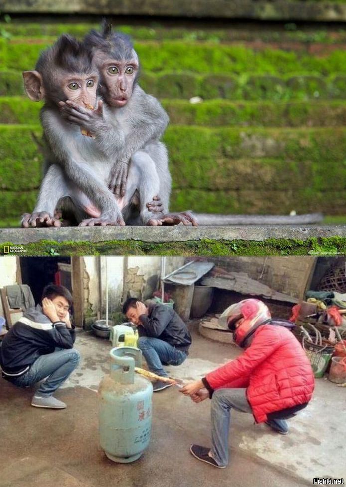 Из солянки от 21.02.2016