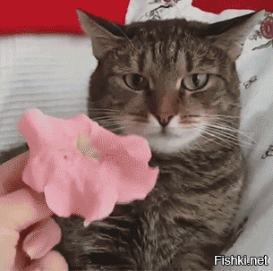 Гы. Одному, как минимум, - нет. Так что теория про "всем" несколько ошибочна на поверку.
И тебе здоровья и долгих лет. :)