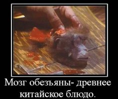 Автор, ты забыл про китайский изыск - обезьяньи мозги. 
Клиенту приносят живую обезьянку, зажимают голову в специальном отверстии обеденного стола, срезают верхнюю часть черепа. Блюда готово! Приятного аппетита!