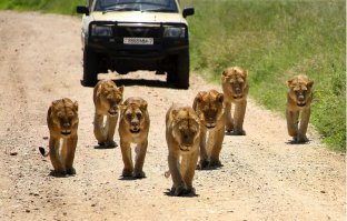 Фотоподборка за 14.10.2013