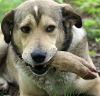 Фотоподборка за 14.10.2013