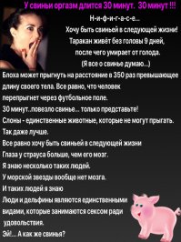 15 фактов об оргазме, которые вы, возможно, не знали