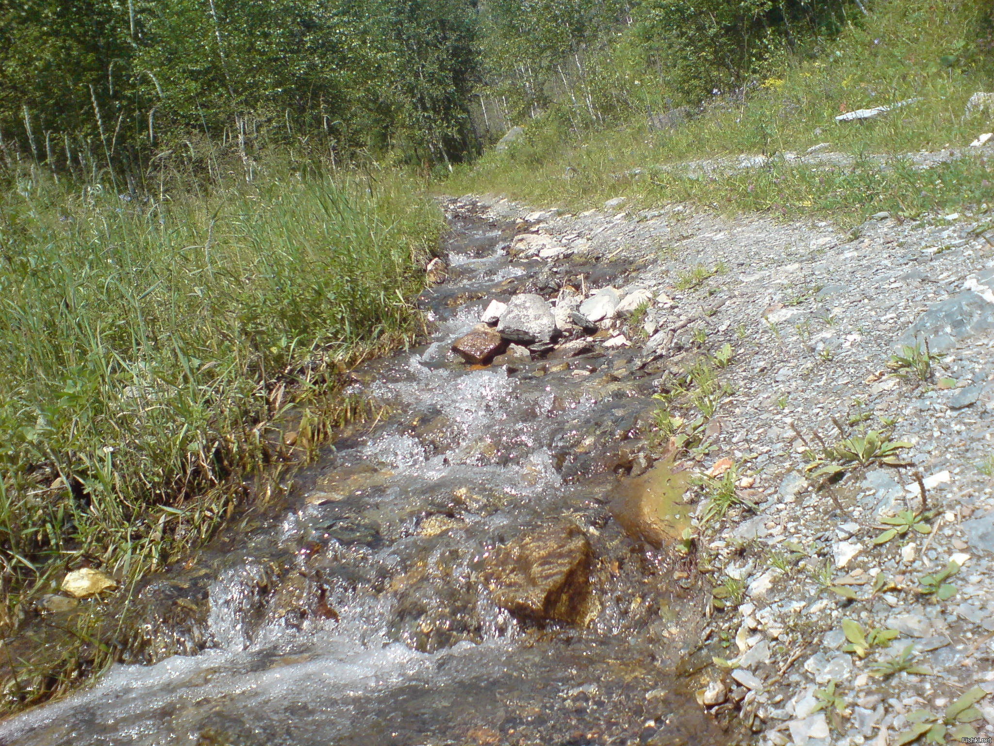 Горный Алтай. Еланда.