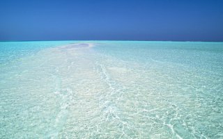 А, значит, земля таки стоит на трёх китах, которые плавают в океане...