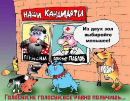 Насчёт выборов уже всё чётко схвачено.