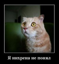  Как ездить на автомобиле быстро и безопасно 