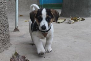 одобряемс))