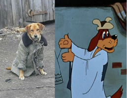 Подборка демотиваторов и картинок