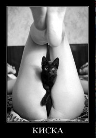 15 фактов об оргазме, которые вы, возможно, не знали