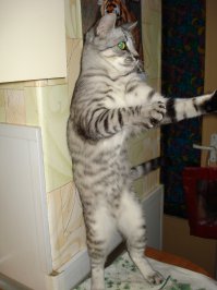 Анекдот из жизни приятелей