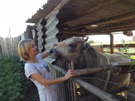 Прикольные картинки.