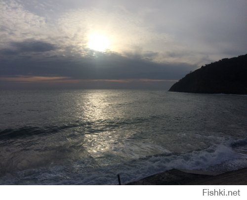 Из солянки от 20.02.2016