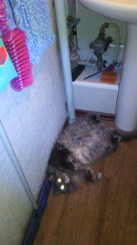 Анекдот из жизни приятелей