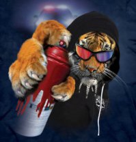 Эта кошка носит темные очки по особенной причине