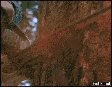 Из солянки от 22.02.2016