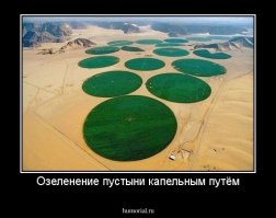 Впервые за много лет цветет Долина смерти 