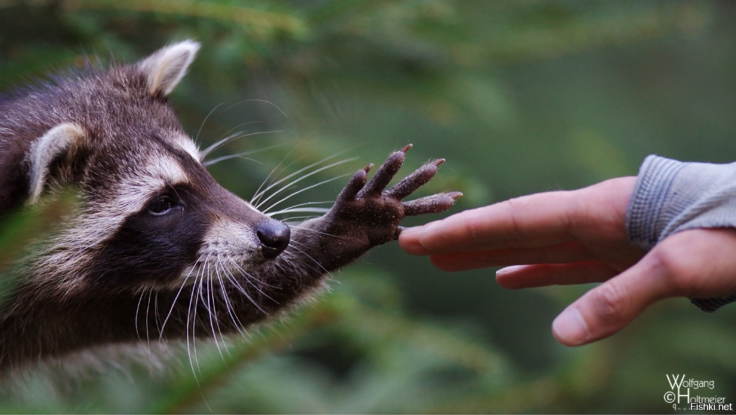Из солянки от 22.02.2016