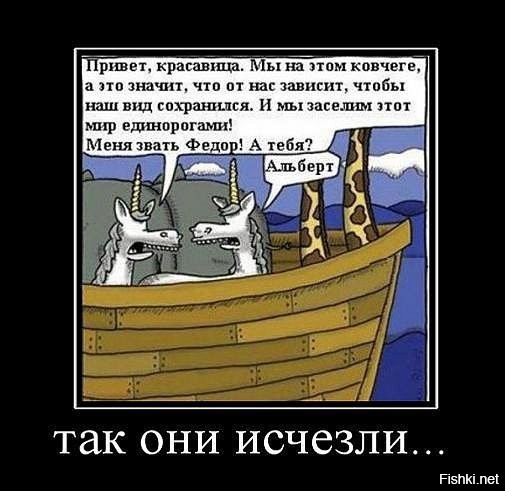 Из солянки от 22.02.2016