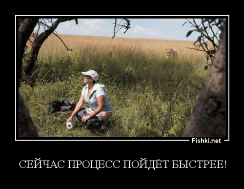 Из солянки от 22.02.2016