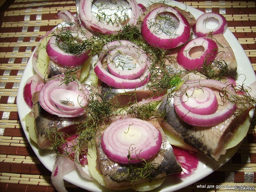 Из солянки от 21.02.2016