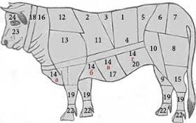Не только на лошадей и верблюдов можно орнамент наносить.