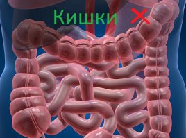 Учим украинскую мову. Часть 2