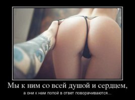 Смешных картинок кучка