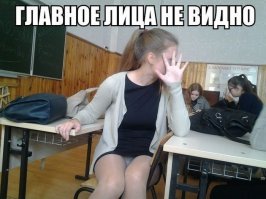 Смешных картинок кучка