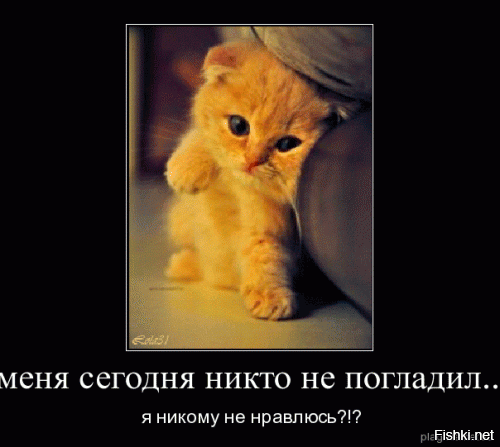 Из солянки от 18.02.2016