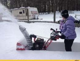 12 уморительных фото, снятых с идеального ракурса