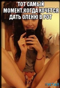 Смешных картинок кучка