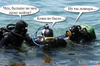 Все фейки у нас стряпают в пресс-службе президента - про щук весом 21 кг, про древнегреческие амфоры и т.д. над чем потом вся страна ржет.