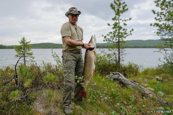 Учитесь у Путина щук ловить. А то весь день ловили и только 25 кило натаскали, а наш гарант разок удочку закинул и сразу 21 кг

Правда щуку эту Чуров взвешивал