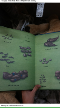 Что здесь происходит ?