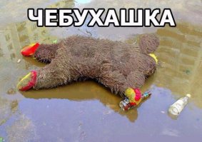 Ну во дворах и вот такие чебурашки бывают частенько...