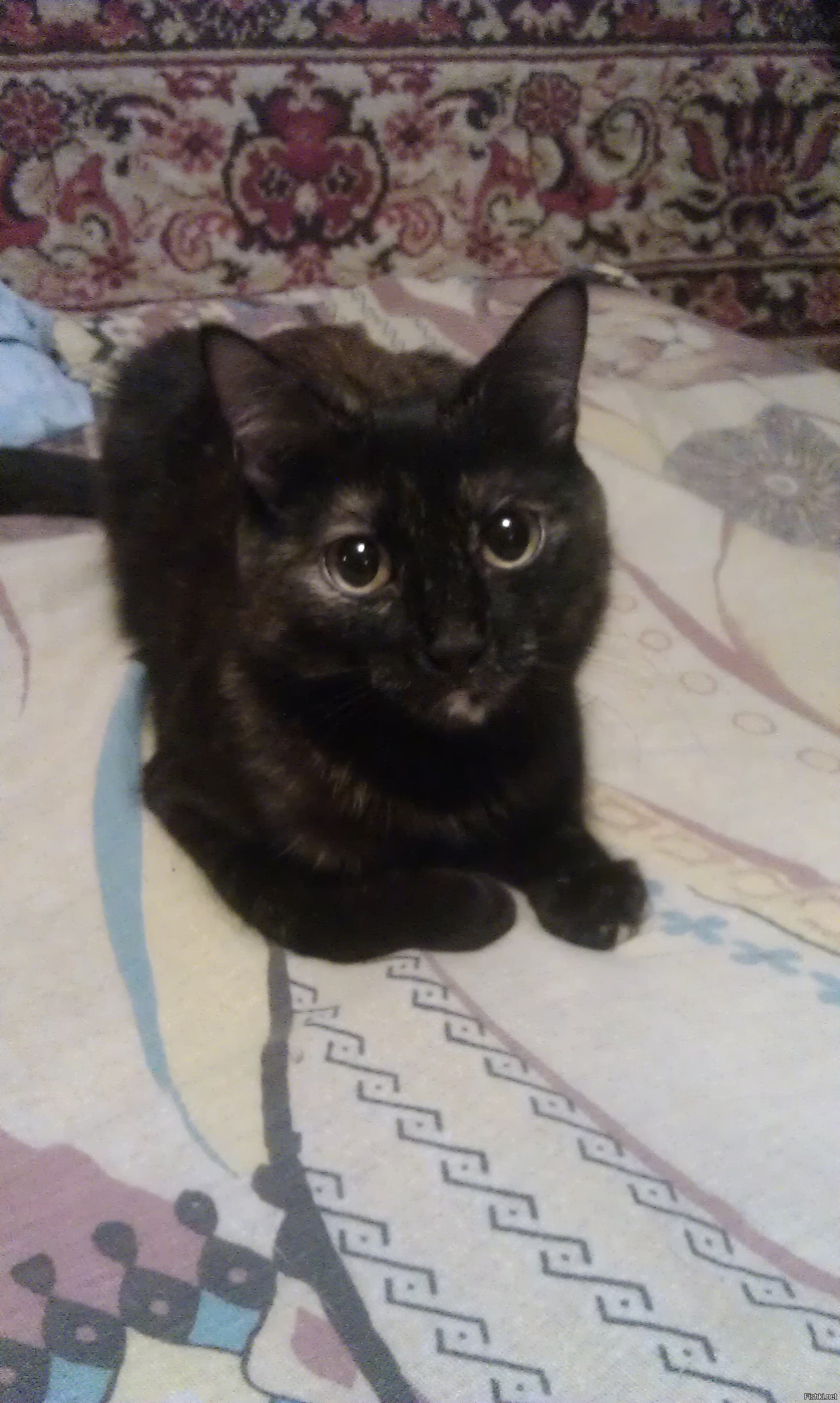 Братик! Ты ли это?