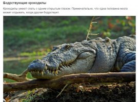 все мужики вечером так телевизор смотрят