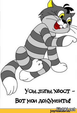 Из солянки от 23.02.2016