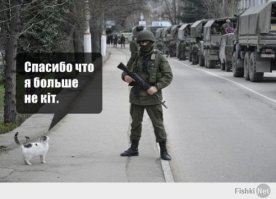  Смешные комментарии из социальных сетей 22.02.16